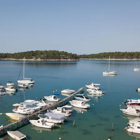 Devcic New Translation